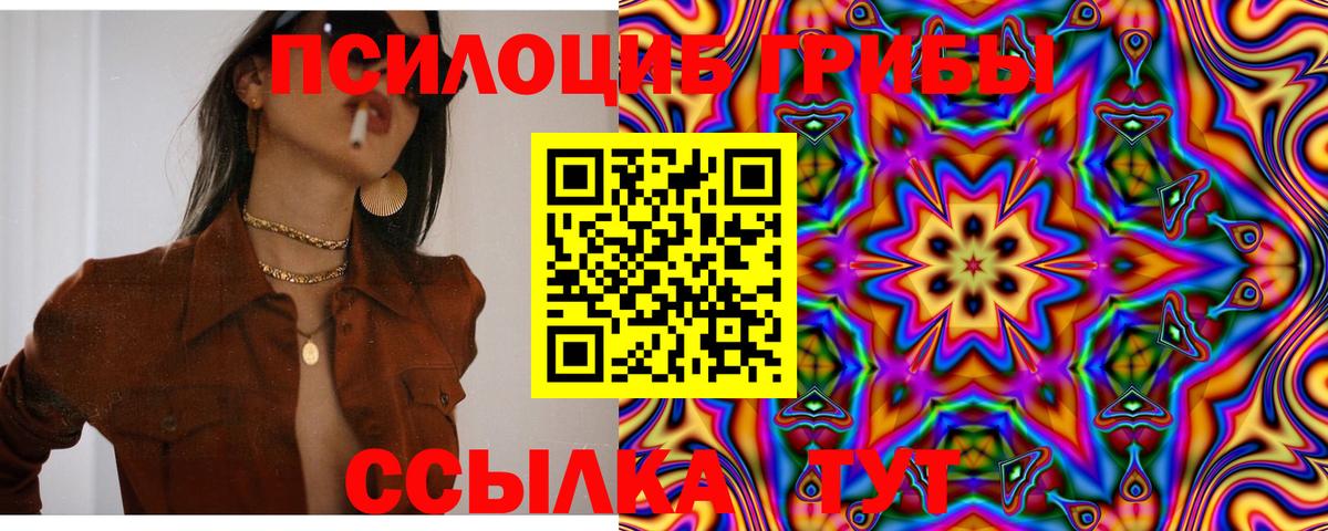 Урюпинск  Псилоцибиновые грибы Cubensis  Вход с VPN  Псилоцибиновые грибы мухоморы 
